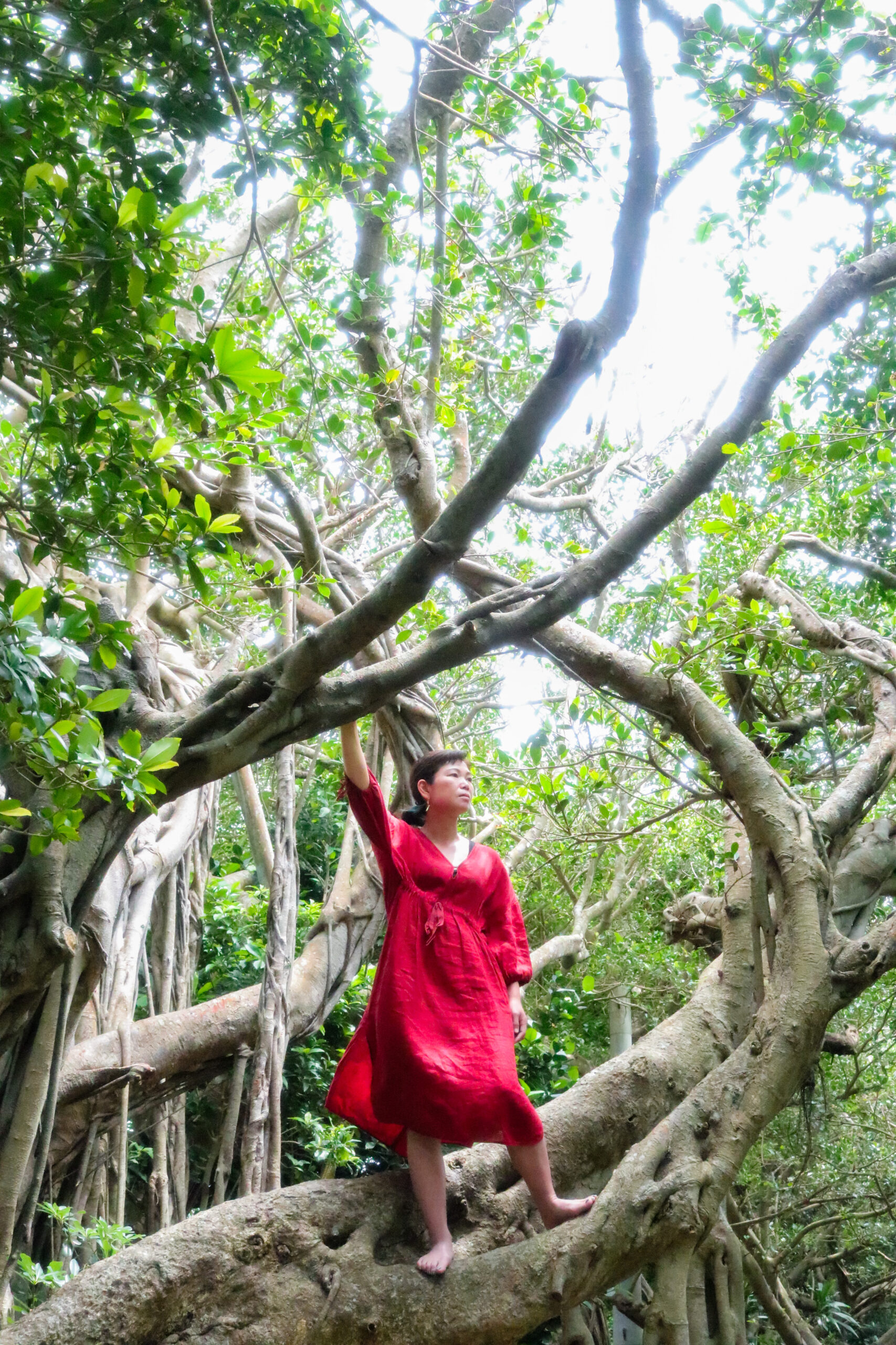 『皆既月食・乙女座新月からのメッセージ』