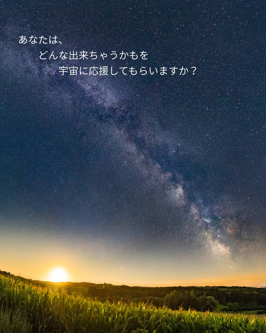 獅子座新月のメッセージ